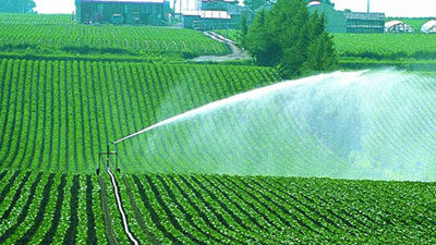 Artificial rain irrigation